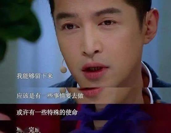 壳大娱乐圈吧,壳大娱乐圈吧揭秘明星幕后故事